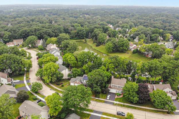 genMid.11461863_52_1