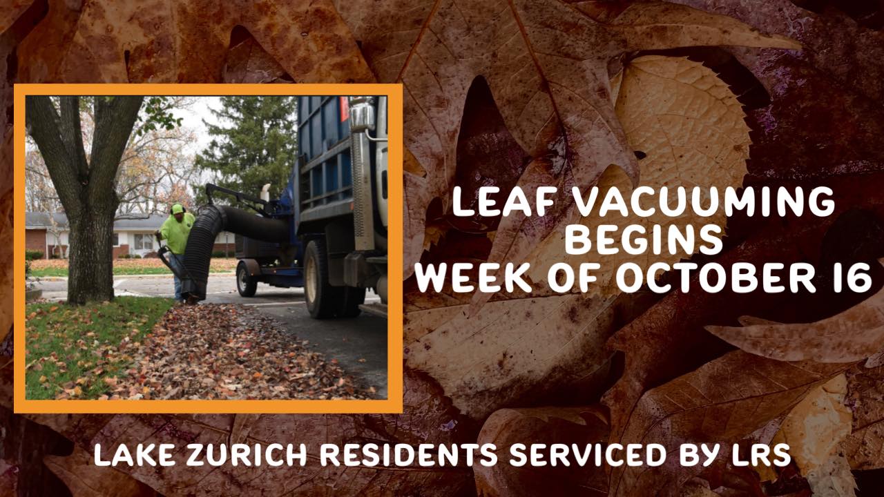 311058996_416164300686789_493211505941710759_n