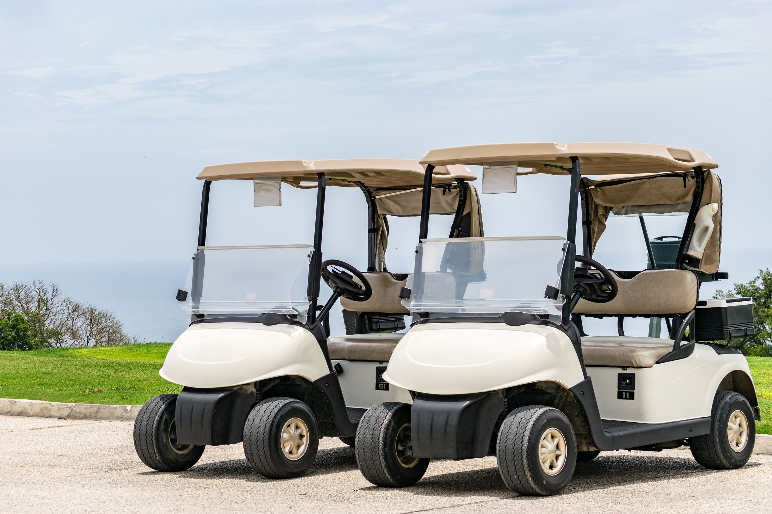 Golf-Cart-AdobeStock_219179614
